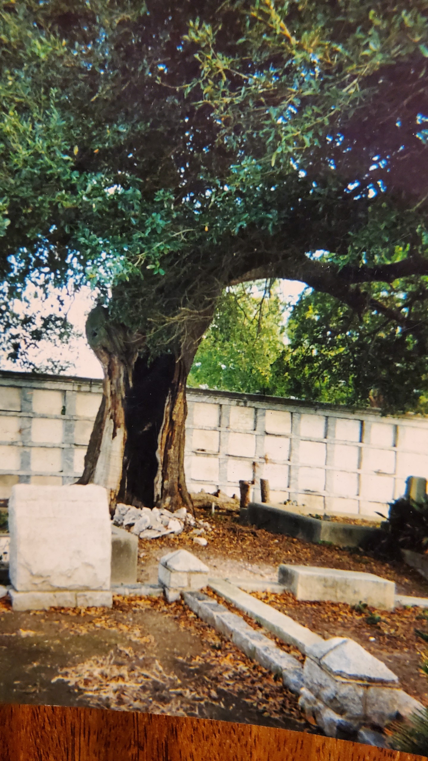 Grave yards New Orleans